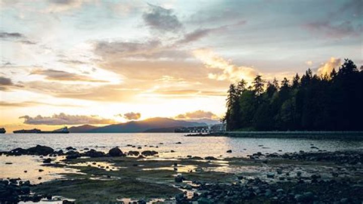 Bellingham Backgrounds: Exploring The Essence Of A Vibrant Community