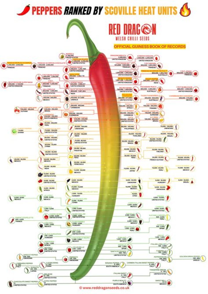 Discovering The Fiery Flavor Of Helena Chilli Peppers