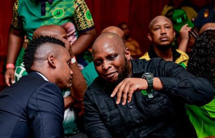 Duduzile Zuma: The Rising Influence In South African Politics