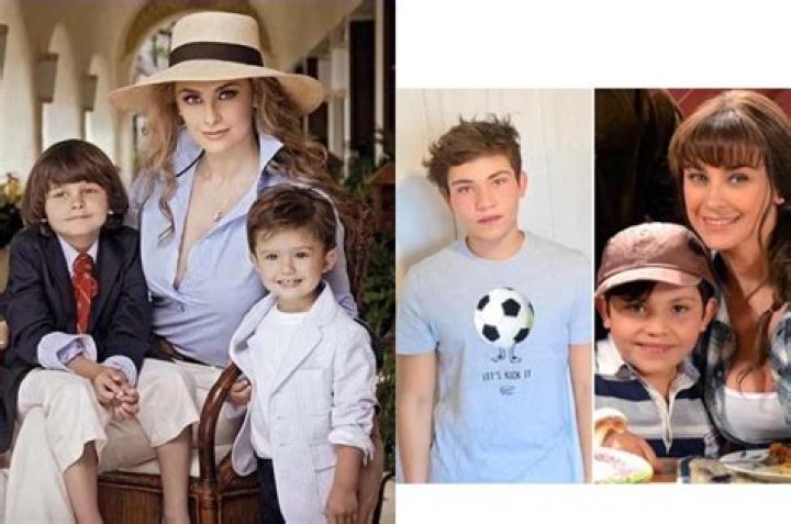 Exploring The Lives Of Luis Miguel's Sons: A Journey Through Family And Fame