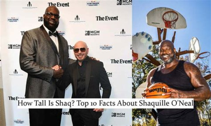 Shaq O'Neal: Towering At An Unbelievable Height