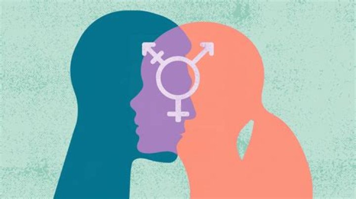 The Mystery Of Lilli Kay: Unraveling The Gender Identity Debate