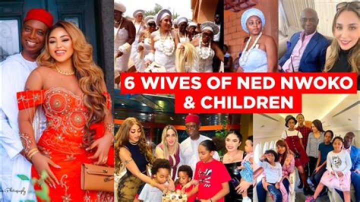 The Ultimate Guide: Uncovering Ned Nwoko's Children Count