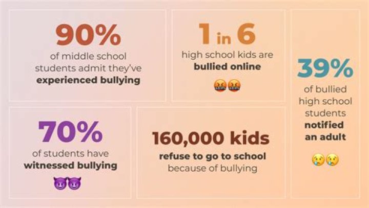 Understanding The Bullying Experience Of Aubrey