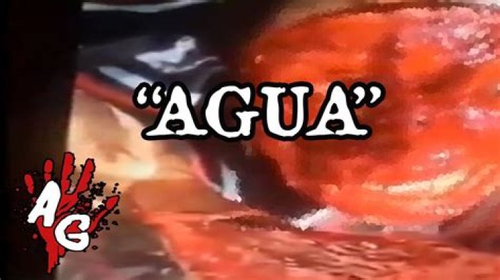 Unraveling The Mystery Of Quiero Agua Video Gore