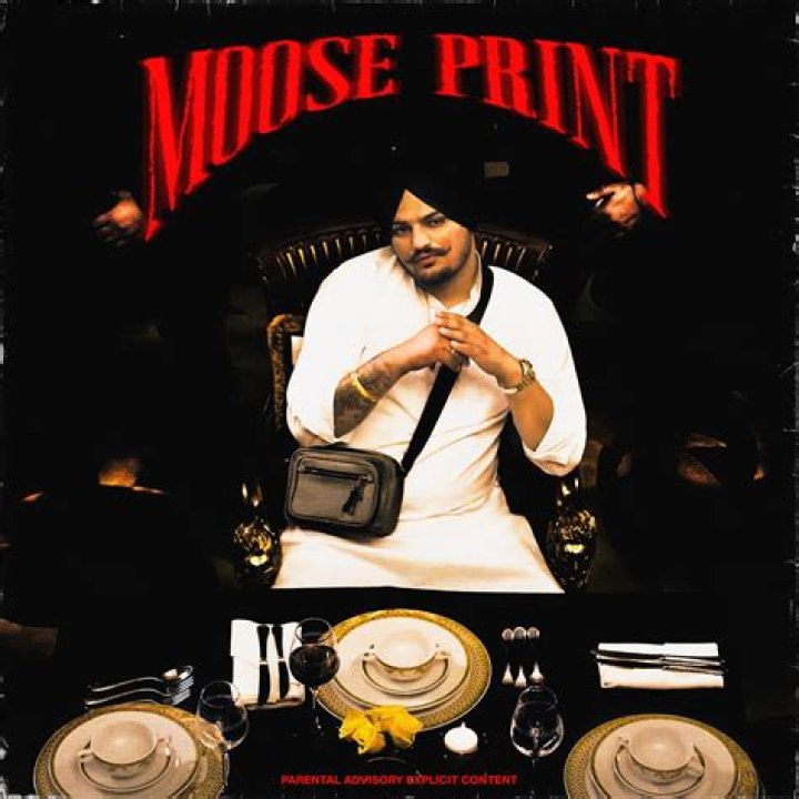 Unveiling Jamal Moose Wala: The Social Star's Roots And Representation