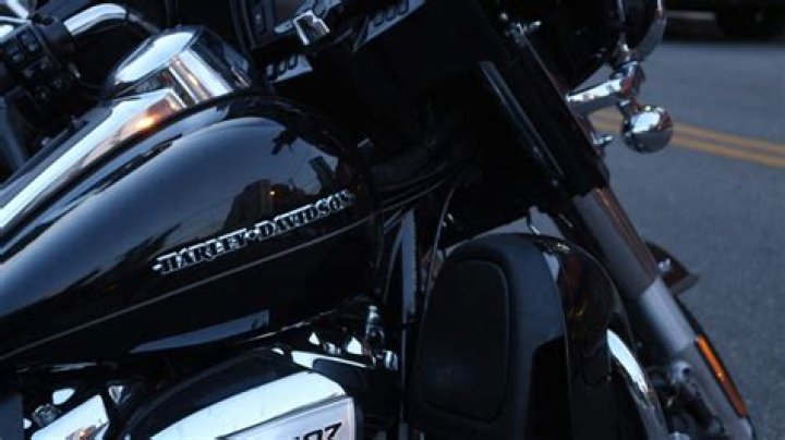 Unveiling The Mystique Of Harley Tiller Age
