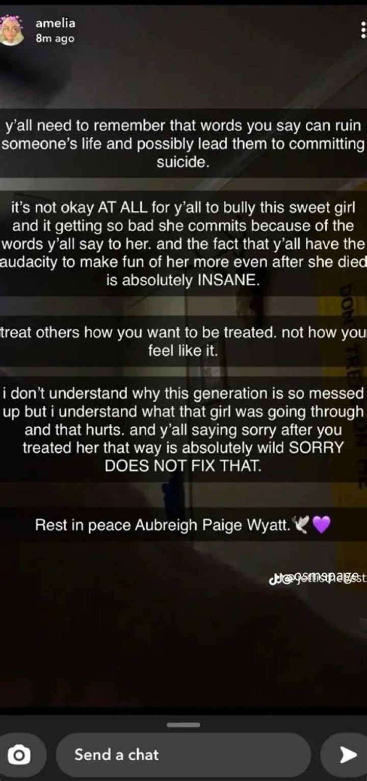 Unveiling The Truth: Aubreigh Wyatt Bully Messages