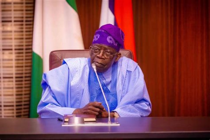 Who Is Remi Tinubu - Delta State Origin Claims